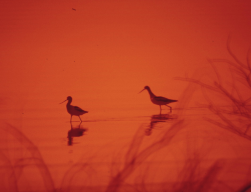 The Art of Connection